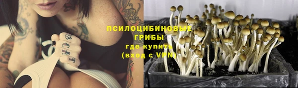 спиды Михайловск