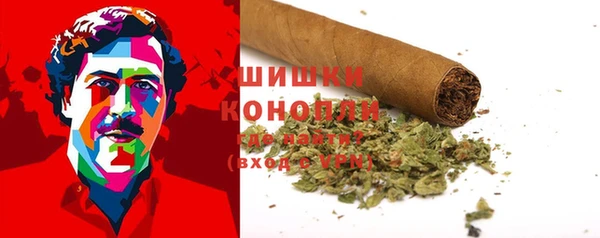 крисы Анива