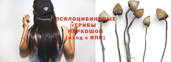 спиды Михайловск