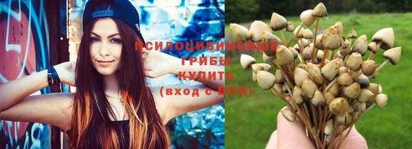 тгк Медвежьегорск