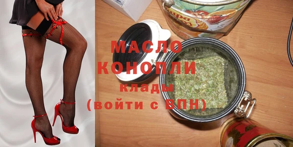 индика Михайловка