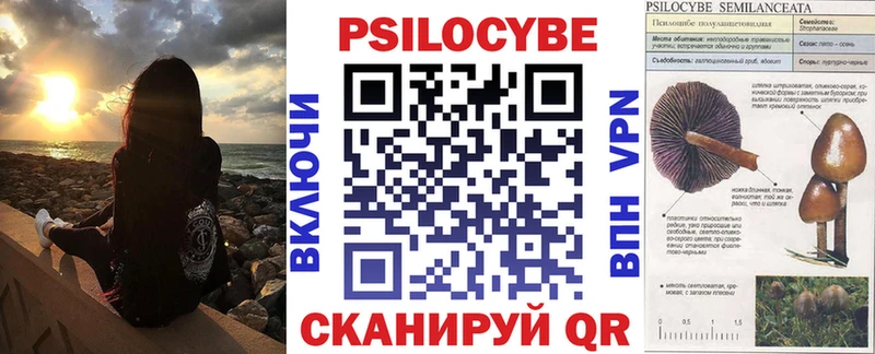 как найти Змеиногорск Псилоцибиновые грибы MAGIC MUSHROOMS