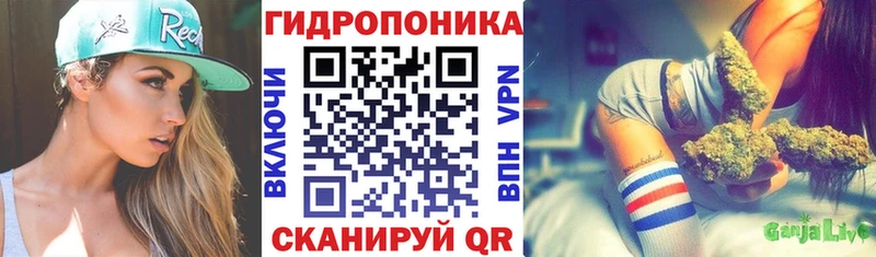 купить наркотик Змеиногорск Бошки Шишки индика